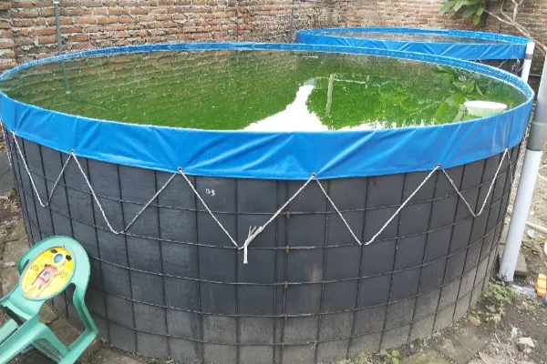 kolam terpal bulat